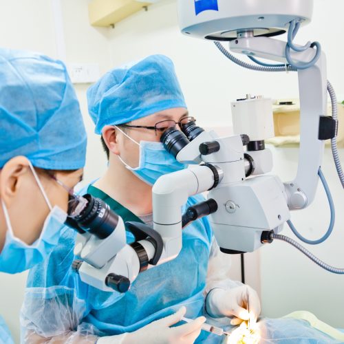 Dental and surgical practice team operating in a calm environment as they outsourced their bookkeeping to ClockworX