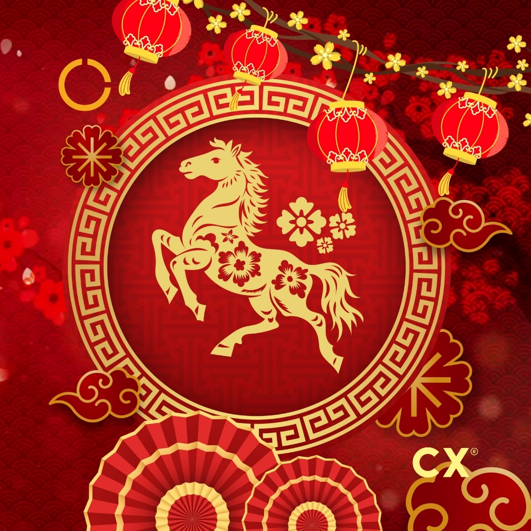 Illustration of a Fire Horse symbolising the Year of the Fire Horse 2026, representing energy, momentum, and confident business growth for NZ SMEs.